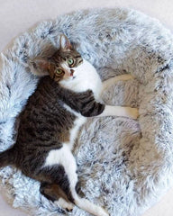 Fluffy Round Pet Bed for Cats and Dogs