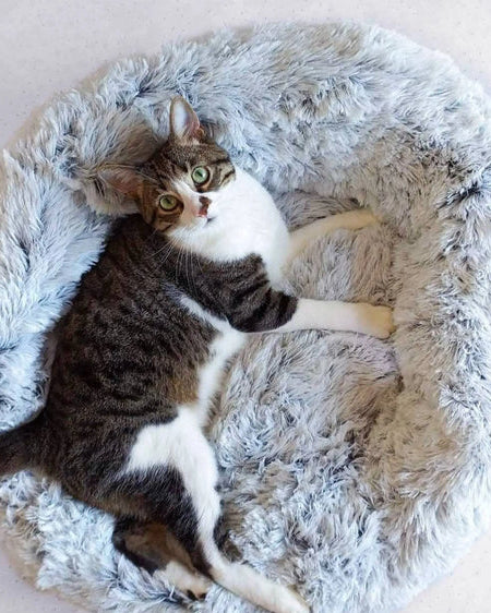 Fluffy Round Pet Bed for Cats and Dogs