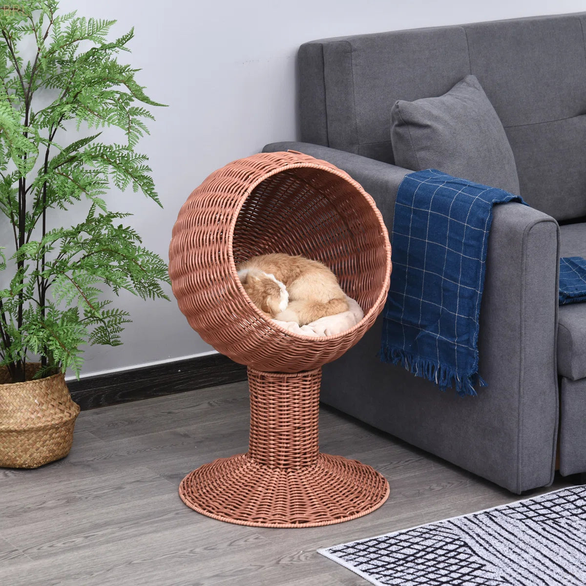 Woven Rattan Elevated Pet Bed for Cats and Small Dogs